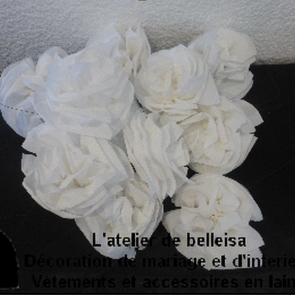 Fleur blanche 2